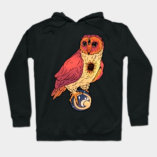 Witch Owl - Sphere Hoodie